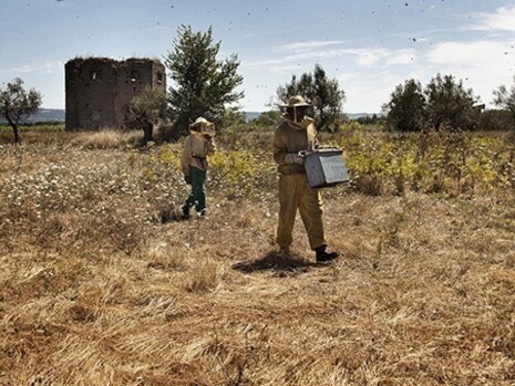 Le Meraviglie, di Alice Rohrwacher