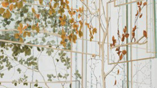 The Garden. The Present- Courtesy of ARoS