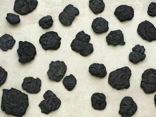 Not Vital, Cow Dung, 2013