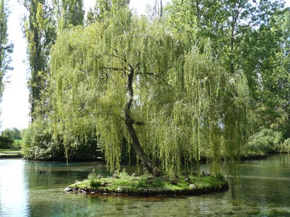Clitunno, Perugia, Umbria. Tutto qui parla di storia, bellezza e armonia. Da visitare