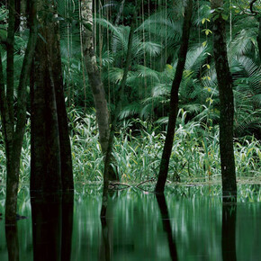 Axel Hütte. Night and Day. Courtesy of Museum Kunstpalast