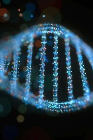 Manuela Monti è  autrice di molti articoli e saggi di divulgazione scientifica sul DNA