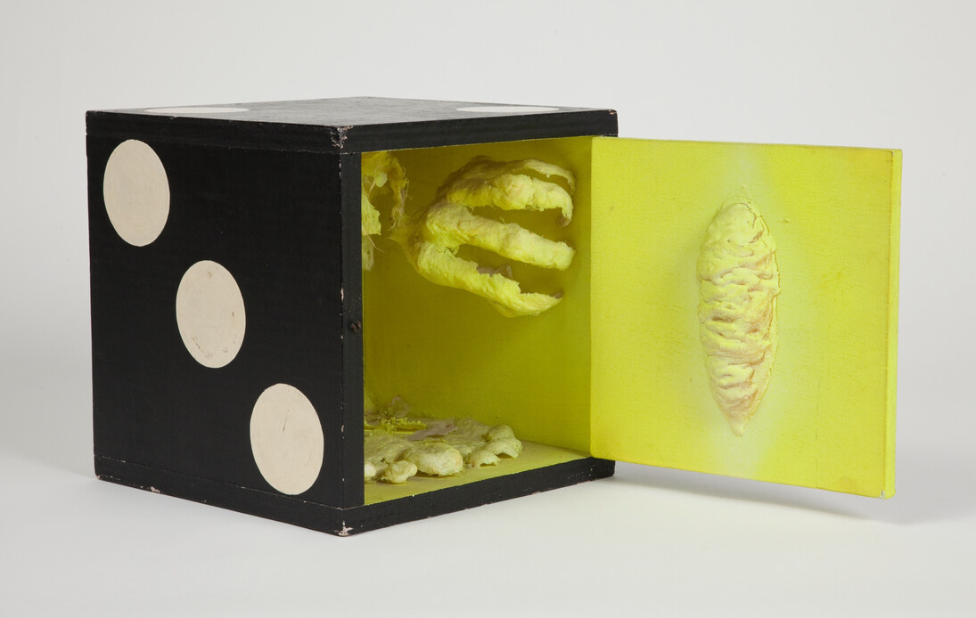 Tetsumi Kudo, Your Portrait, 1966, Painted wood and pegboard case, cotton, plastic, polyester, resin, paint
30 x 30 x 30 cm / 11 3/4 x 11 3/4 x 11 3/4 in. Photo: Jessica Eckert © Estate of Tetsumi Kudo, ADAGP, Paris, ARS, New York and DACS, London 2015, Hiroko Kudo. Courtesy Hauser & Wirth and Andrea Rosen Gallery
