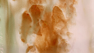 Christelle Boulé, Terre. Photogramme original, 12x15 cm.