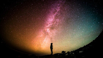 La percepción y la comprensión nos permiten experimentar la vida