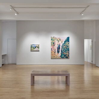 Tim Braden, I can see all the colours now, exhibition view. Courtesy of Frestonian Gallery 