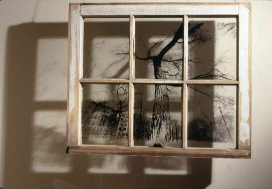 Ig Mata, Window