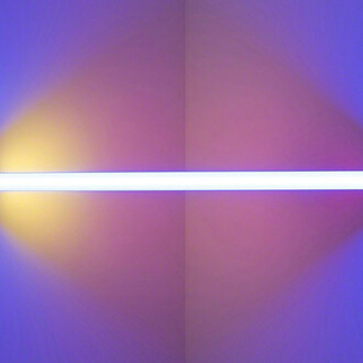 Dan Flavin. Courtesy of Mana Contemporary