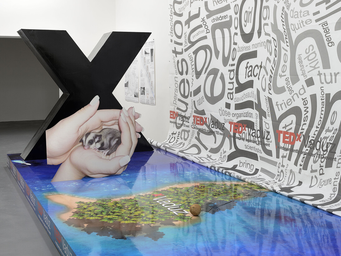 Daniel Keller, Installation view of “TEDxVaduz redux” (with Simon Denny) at T293, 2013, Courtesy T293, Rome