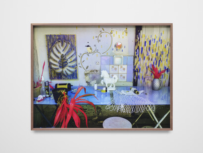 Richard Mosse, Studio for Igor Oliveira, artist, I, Belem, Pará, 2023, C-print, 30x40 inches. Courtesy the artist and Altman Siegel Gallery, San Francisco