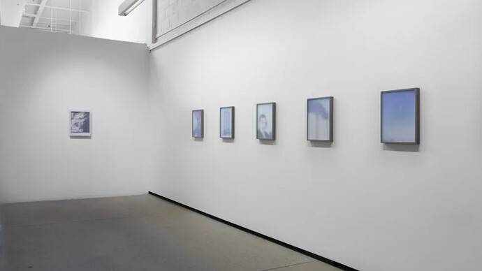 Zacharie Gauvreau, Évanescence, vue d'exposition. Avec l'aimable autorisation de la Blouin Division