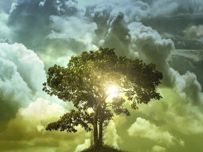 Vivere l'Universo