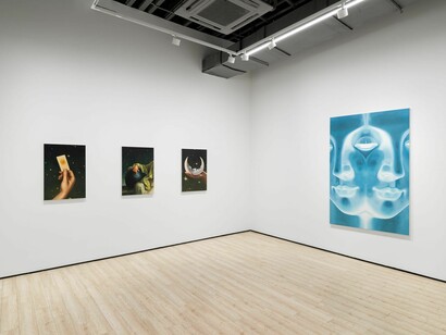 Ted Pim, Loinnir, exhibition view. Courtesy of Almine Rech Gallery