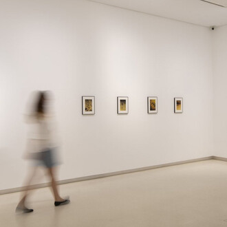 Anna Cabrera y Ángel Albarrán, Ventanas a lo insólito, vista de exhibición. Cortesía de la Galería Elvira González