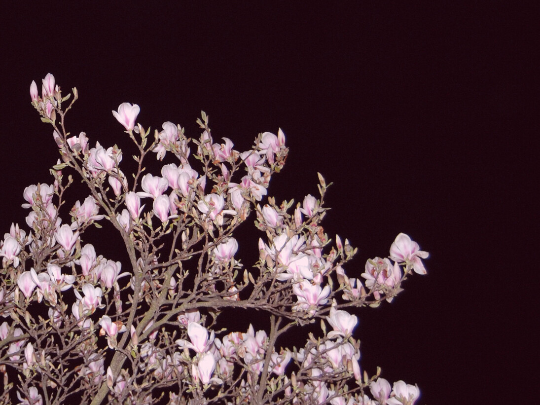 Mark Garry, Nightflight I, 2014; Lambda print mounted on smooth laminate