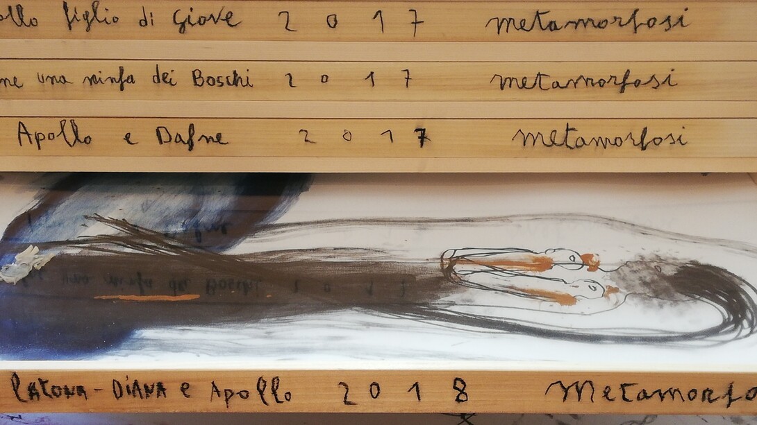 Arcangelo, Le Metamorfosi di Ovidio, Opera con cassetti e disegni, dettaglio
