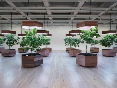 Helen Mayer Harrison and Newton Harrison, Survival piece #5, portable orchard, exhibition view. Courtesy of Whitney Museum