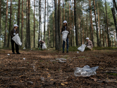 People cleaning the forest of trash left behind