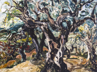Gnarled Olive Trees, oil on canvas, 1962,  82  x 100 cm
