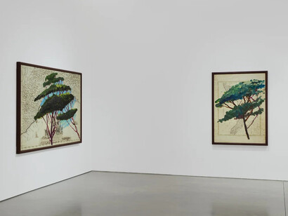 Julian Schnabel, Italy through its trees, exhibition view. Courtesy of Pace Gallery