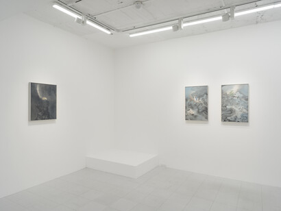 Lin Yusi, Thus have I heard, exhibition view. Courtesy of Tokyo Gallery + BTAP
