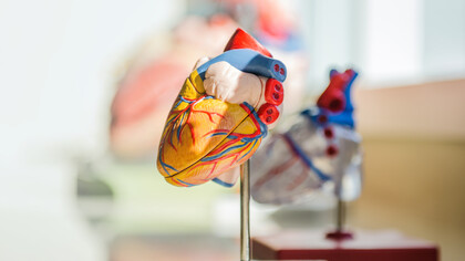 L’importanza di conoscere il cuore per non trascurare sintomi minacciosi ritenendo di non appartenere a categorie a rischio