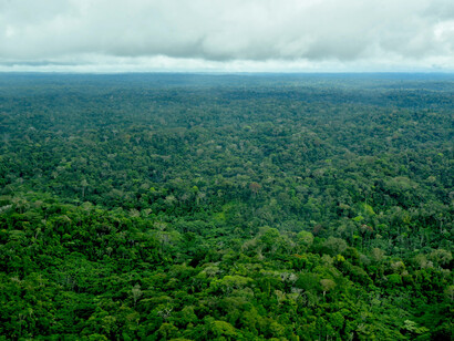 Ecuadorian Amazon in Sapara Indigenous Nation territory - such governance is best bet against deforestation ©  Ashish Kothari