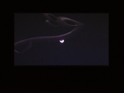 The shamash, exhibition view. Courtesy of Enjoy Contemporary Art Space