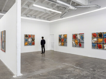 Territorios y Mapas. Courtesy of Baert Gallery