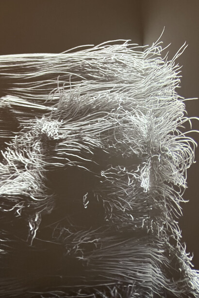 Mr. Herbert, the Traveler. Courtesy of the Palace of the Commonwealth