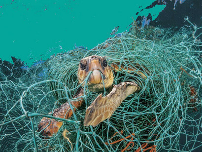 Una tortuga se enreda en la basura del fondo del océano
