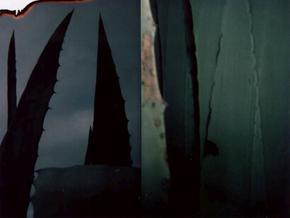 Broomberg & Chanarin, To Photograph the Details of a Dark Horse in Low Light