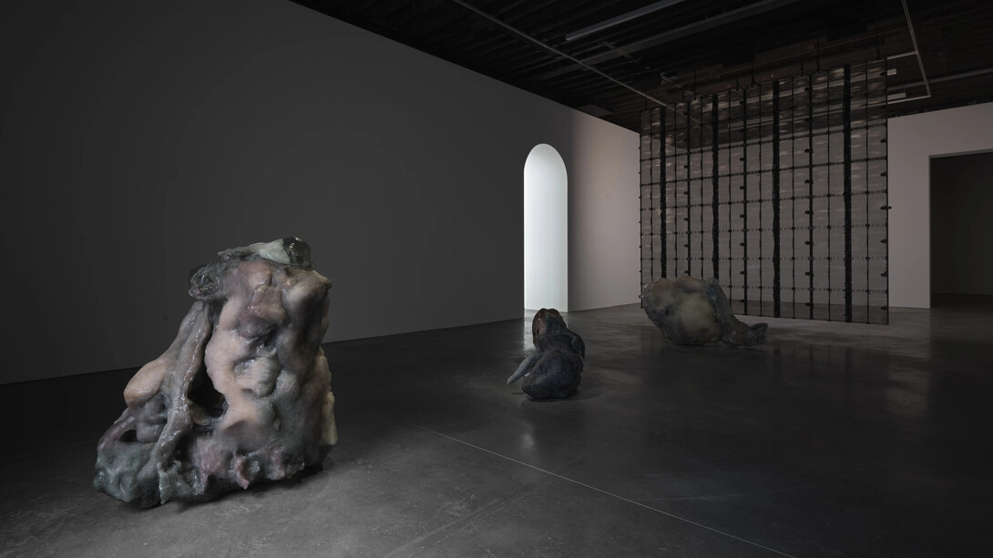 Pierre Huyghe, In imaginal, exhibition view. Courtesy of Marian Goodman Gallery