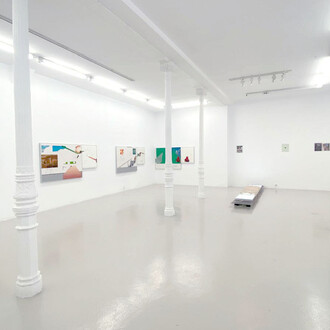 Raúl Silva, Naturalización técnica. Tecnificación natural, vista de exhibición. Cortesía de F2 Galería