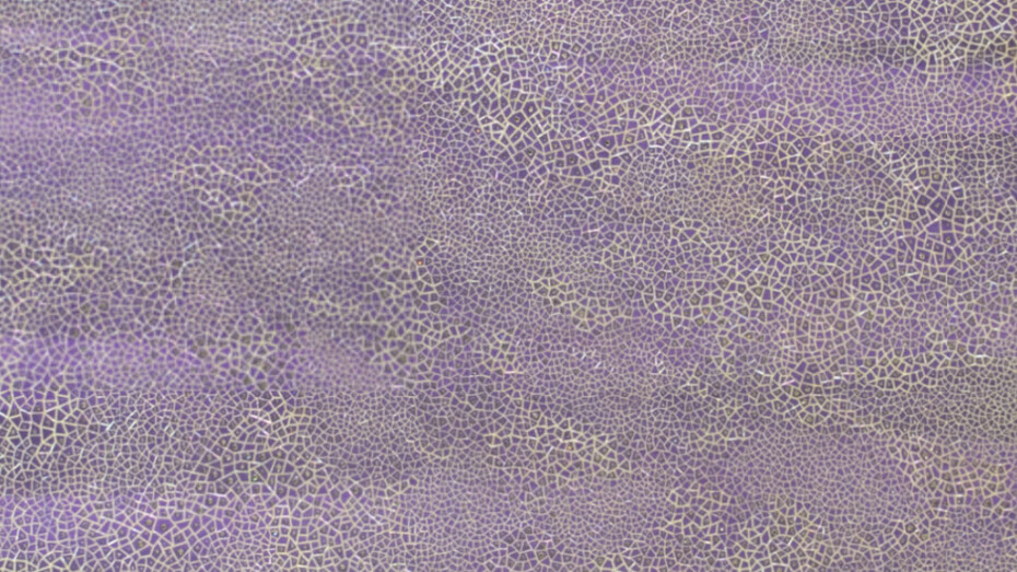 Elemental Abstractions. Courtesy of Blank Space
