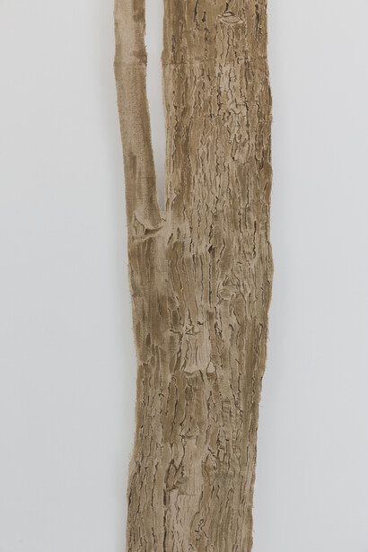 Under the Spell of the Image. Courtesy of The Approach