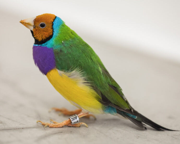 Zip'Up, Exhibition view. Courtesy of Zipper Galeria