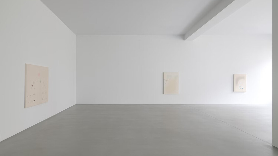 Cathy Wilkes, exhibition view. Courtesy of Xavier Hufkens