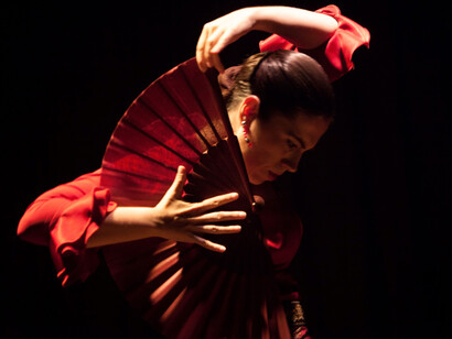 Bailarina de flamenco