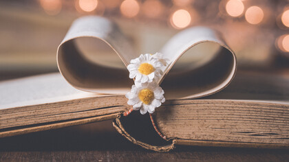 Roque Esteban Scarpa: un creador literario de vasta obra y sólido currículo