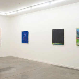 Hampton Boyer, Wielding instinct, exhibition view. Courtesy of Romer Young Gallery