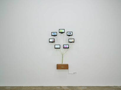 Leili Arai Tavallaei, Shotor 〇 morghe, exhibition view. Courtesy of Erin Cluley Gallery