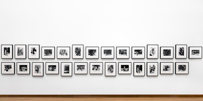 Jump into the Future. Courtesy of Stedelijk Museum
