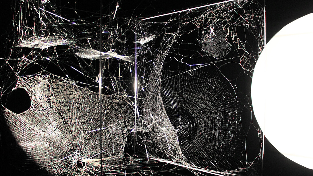 Gravity. Courtesy of Maxxi 