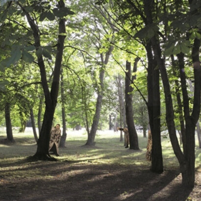 Gil Yefman. Courtesy of Tel Aviv Museum of Art