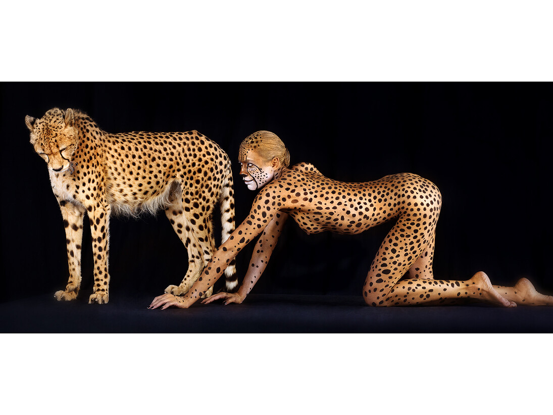 Lennette Newell, Cheetah 327, Tirage pigmentaire sur papier Hahnemühle Fine Art, 50 x 100 cm, Edition de 12 © Lennette Newell, 2011
