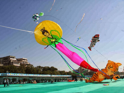 International Kite Festival 2011