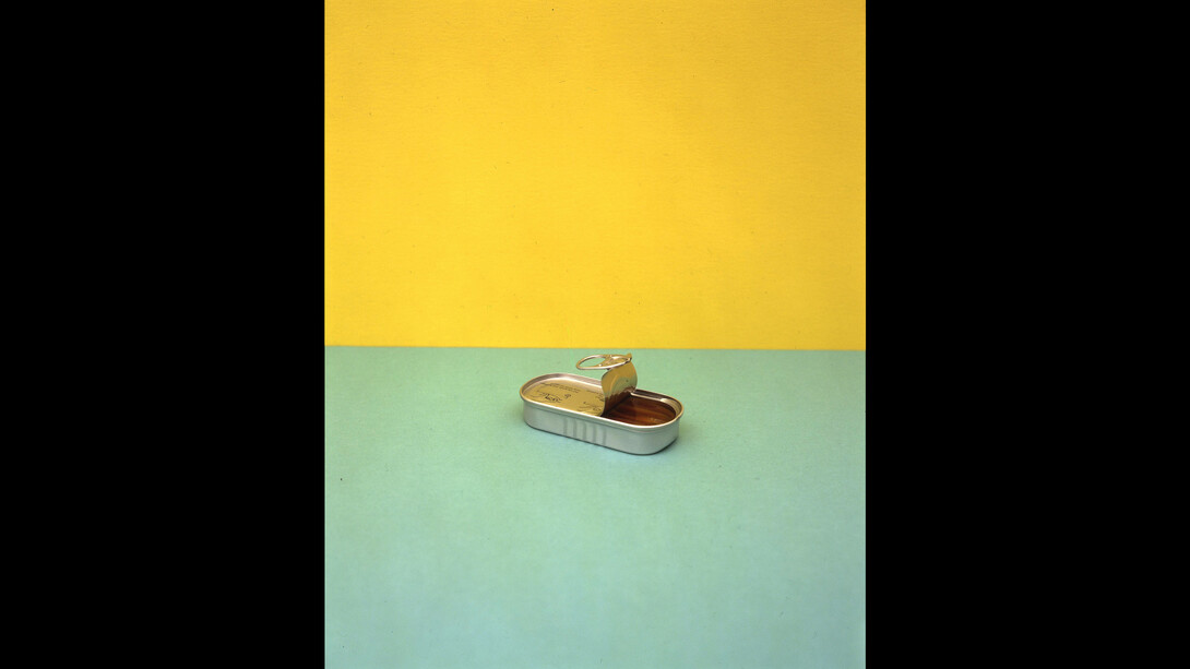 Richard Caldicott, Anchovies, 1996. © Richard Caldicott, courtesy of Atlas Gallery