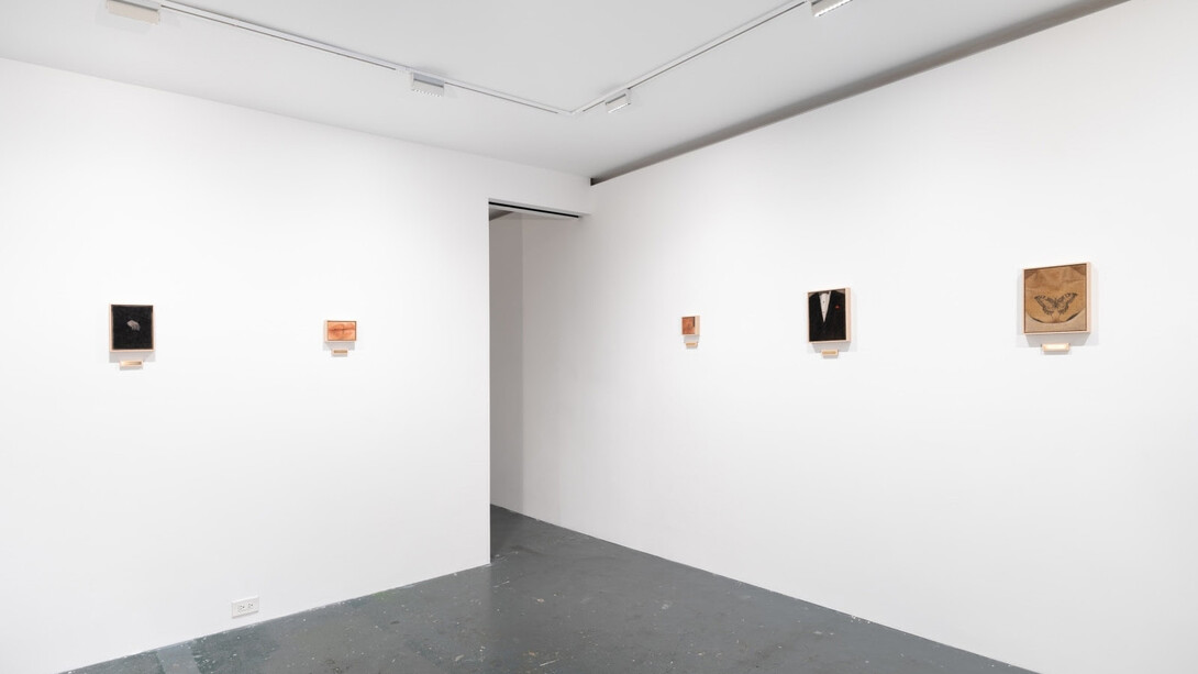 Installation view, Katelyn Eichwald, Talisman, 2024. Courtesy of Fortnight Institute