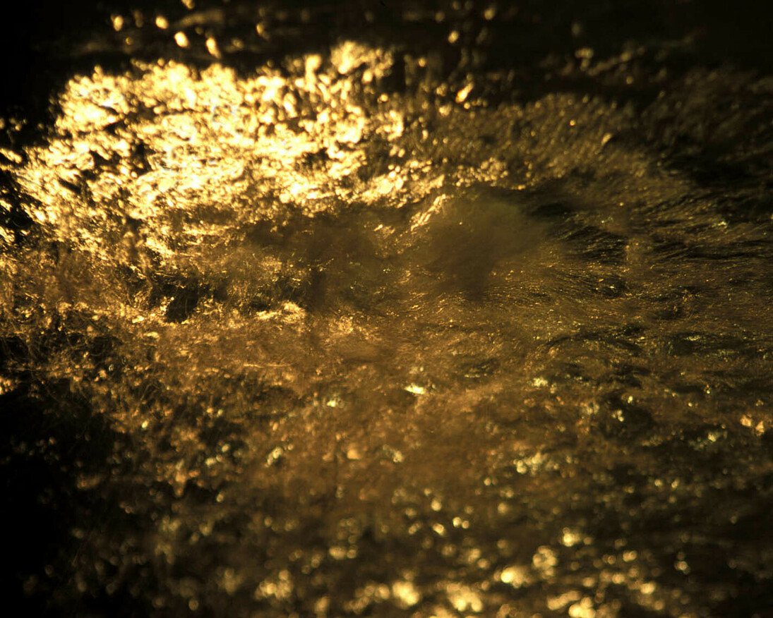 Sheila McKinnon - Invisible Light